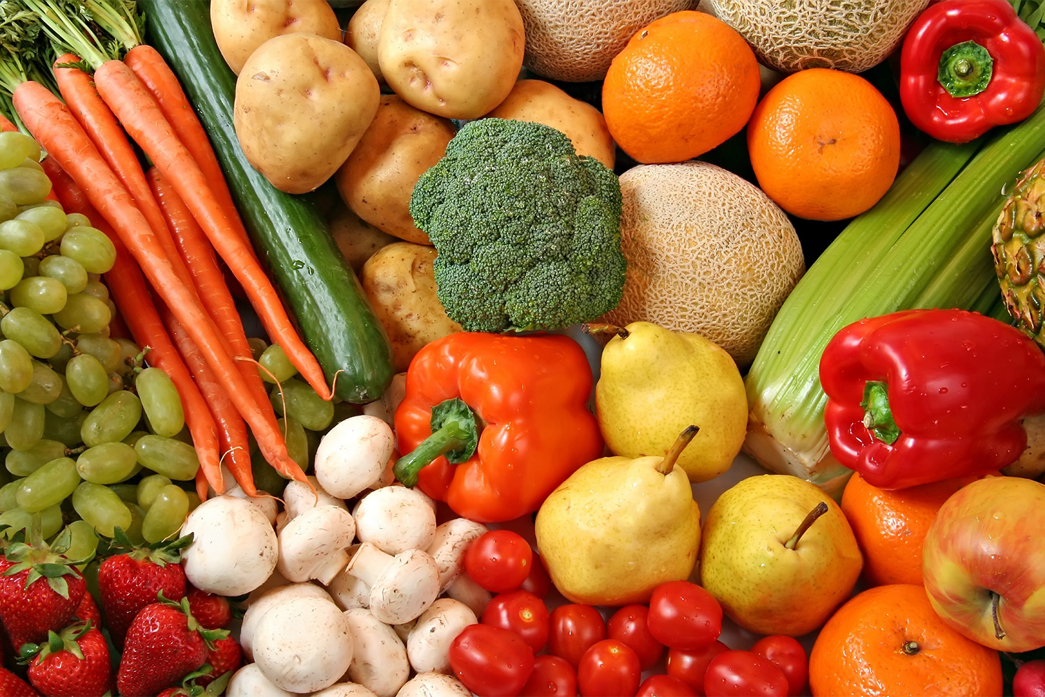 agroalimentaire
