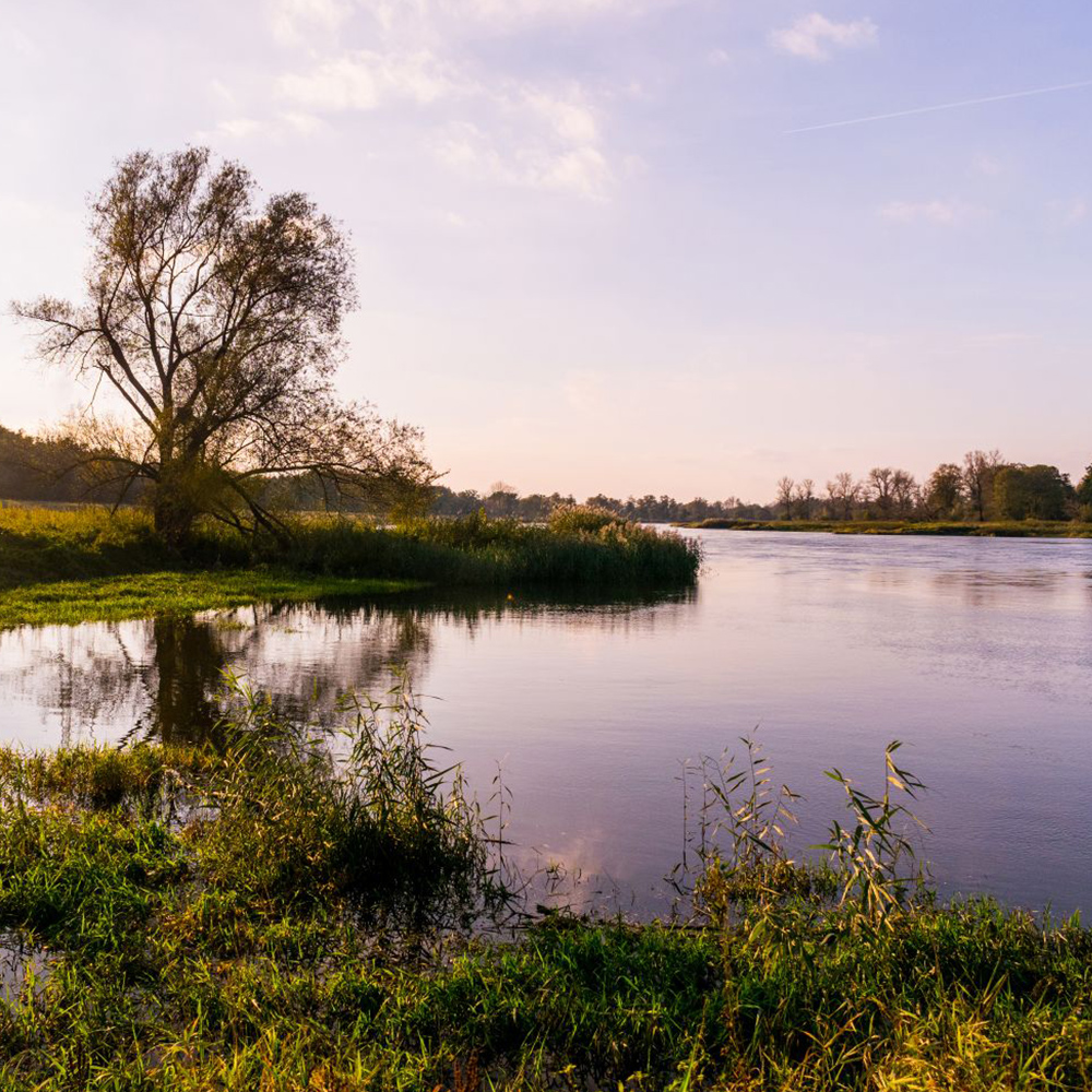 environnement